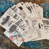 36 ALPHABET CITIES postcards collection